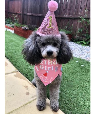 BIPY Dog 1st Birthday Hat Bandanas Set for Girls Small Medium Pets Pink Headdress Costumes Grooming Supplies for Party Celebration Decoration PINK-HatBandana - Buy Online on GoSupps.com