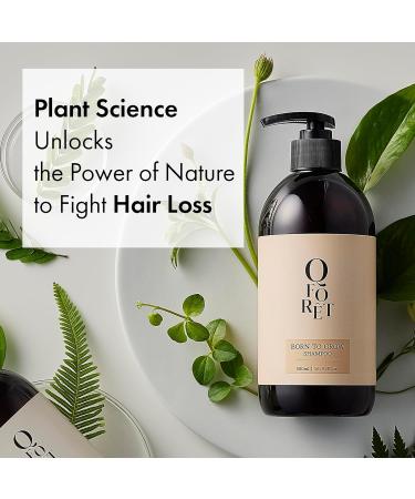 QFOR T Hair Growth Shampoo - Natural Korean Herbs for Thicker Fuller Hair | K-Beauty Solution for Thinning Hair - 17OZ International Shipping Available - Buy Online on GoSupps.com
