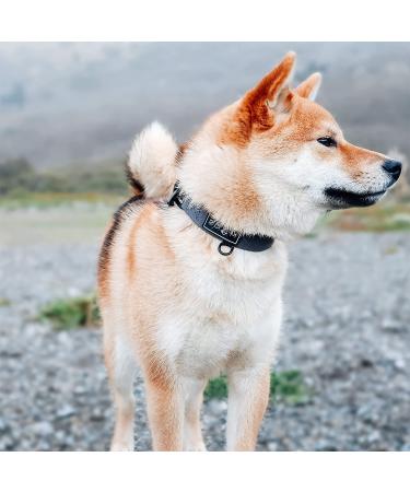 Made to ROAM Oregon Haze Size 4 Premium Dog Collar - Heavy Duty Nylon with Metal Buckle - Buy Online on GoSupps.com
