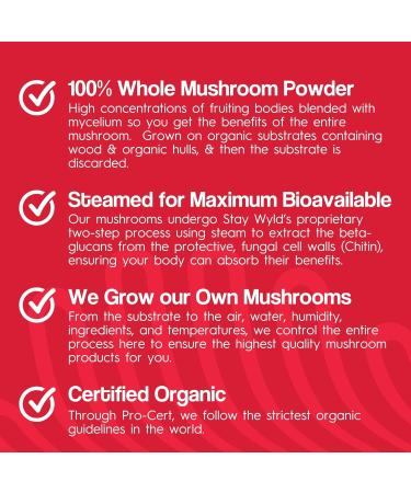 Stay Wyld Organics - Chaga Mushroom Supplement - 100% Canadian Mushroom Organic Chaga Capsules Supplements for Natural Cholesterol Level and Immune Support Non-GMO 90 Capsules Pouch - Buy Online on GoSupps.com