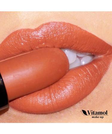  Vitamol Diva Pure Lipstick Katharine 4 g. - Buy Online on GoSupps.com