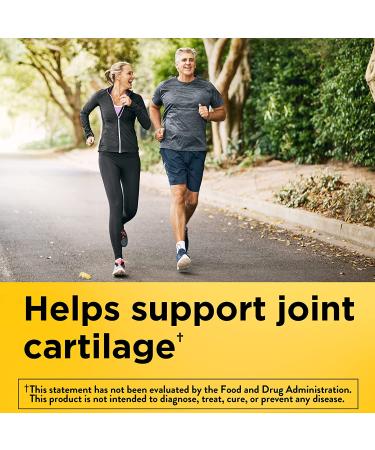 Nature Made Glucosamine Chondroitin Complex with MSM - 120 Caplets (60 Day Supply) - Buy Online on GoSupps.com