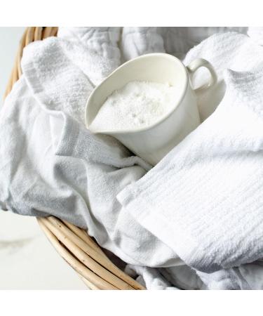 BIRCH & MEADOW Borax 1 Gallon Bucket - Unscented Laundry & Cleaning Additive | 144 Ounce Pack International Shipping Available - Buy Online on GoSupps.com