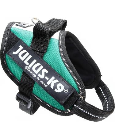 Buy IDC Powerharness in Hungarian Colors - Size S/Mini | International Shipping Available - Buy Online on GoSupps.com
