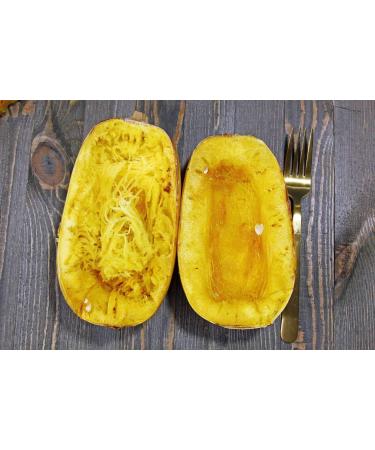 SAFLAX - Gift Set - Organic - Squash - Spaghetti - 5 Seeds - with Gift Box Card Label and Potting Substrate - Cucurbita Pepo - Buy Online on GoSupps.com