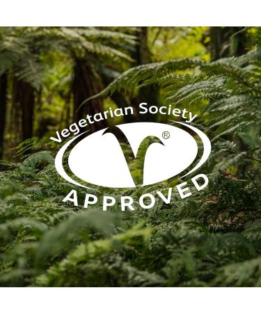 Kiwi Seed Oil Lip Conditioner and Hydrating Lip Balm Vitamin C rich Lip Care Dry Lips Cracked Lips and Chapped Lips 4g - Buy Online on GoSupps.com