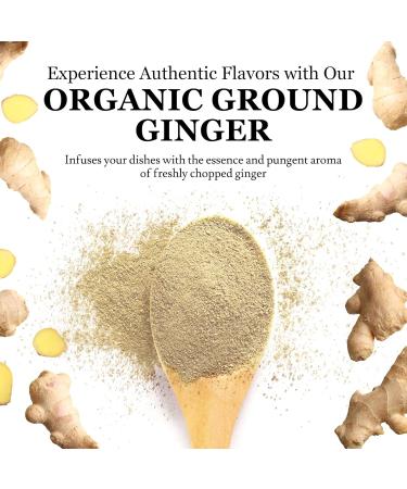 Minerva Spices Organic Ginger Ground 4 Oz 120 Grams Premium Quality 100% Pure Non-GMO Vegan Gluten-Free and Kosher Certified - Buy Online on GoSupps.com