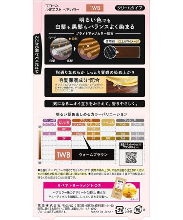 Kao Blaune Lumiest Hair Color Gray Hair Dye 1WB Warm Brown - Buy Online on GoSupps.com