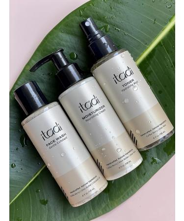 ITADI Organic Natural Daily Face Moisturizer Cream | Coffee Berry Aloe Vera & Shea Butter Infused Hydration | Soothing for Dry Skin | Lightweight Face Cream With Vitamins + Aloe Vera - 4 fl oz 4 Fl Oz (Pack of 1) - Buy Online on GoSupps.com