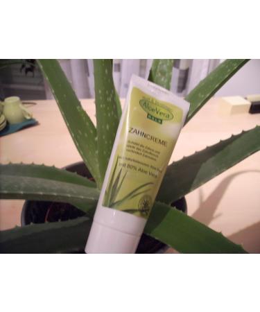 Aloe Vera Gold Toothpaste 75 ml - Natural Whitening & Refreshing | International Shipping - Buy Online on GoSupps.com
