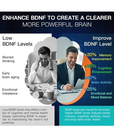 VEX Brain Supplements for Memory and Focus Contain Vitamin B12 folic Acid acetylcysteine Purslane Lion's Mane Mushroom and Ginkgo biloba extracts for Brain Health 60 Capsules - Buy Online on GoSupps.com