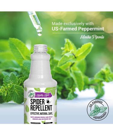 Mighty Mint 16oz Spider Repellent Peppermint Oil Spray - Natural Killer and Deterrent for Spiders and Insects - Buy Online on GoSupps.com