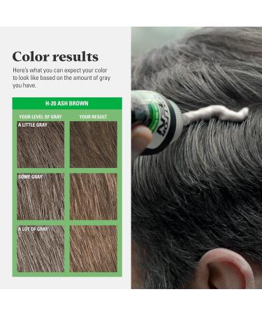 Just For Men Shampoo-In Color (Formerly Original Formula) - Ash Brown H-20 (Pack of 3) - Buy Online on GoSupps.com