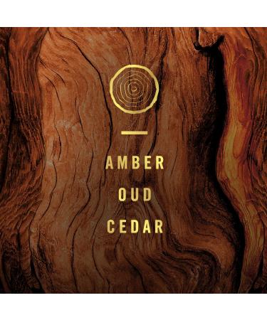 Febreze Plug in Wood Odor Eliminator for Strong Odors Scented Oil Refill - 2 Count - Buy Online on GoSupps.com