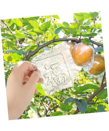 BESPORTBLE 2pcs Square Apple Molds Fruit Planting Molds Vegetable Stereotypes Plastic Mould Cover 1 - Buy Online on GoSupps.com