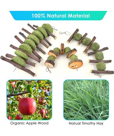 Erkoon Natural Timothy Hay Rabbit & Small Animal Chew Cubes | Dental Care Treats for Hamsters Chinchillas Guinea Pigs & More - Buy Online on GoSupps.com