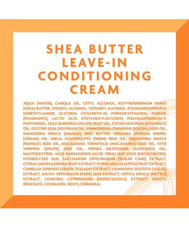 Cantu Shea Butter Leave-In Conditioning Cream 12 oz (Pack of 2) - For Natural Hair | Packaging May Vary - Buy Online on GoSupps.com
