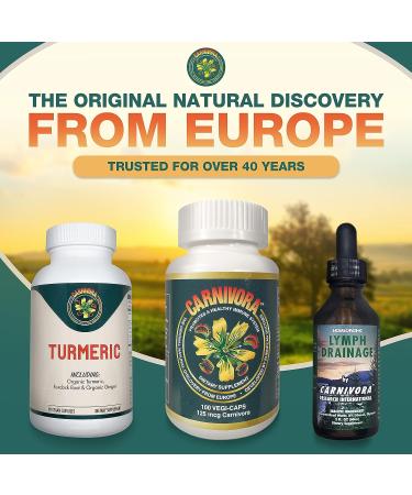 Carnivora Lymph Drainage Drops - Cleanse & Stimulate Lymphatic System, Boost Energy - 2 Fl Oz - Buy Online on GoSupps.com