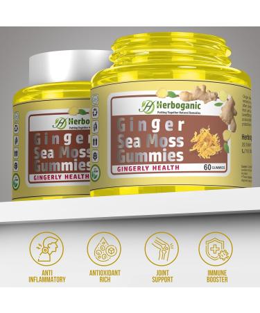 HERBOGANIC Ginger Sea Moss Gummies - Herbal Support for Immune & Digestive Health - Plant-Powered Gluten-Free & Vegan-Friendly - 60 Count Ginger 60 Count (Pack of 1) - Buy Online on GoSupps.com