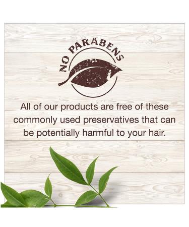 Garnier Whole Blends Haircare - Ginger Recovery Strengthening Shampoo & Conditioner Set 12.5 FL OZ - 1 Set - Buy Online on GoSupps.com