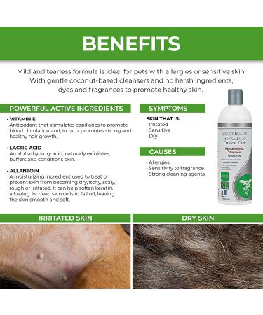 Veterinary Formula Hypoallergenic Shampoo for Dogs & Cats - 16 Oz | Gentle Pet Shampoo for Allergies & Sensitive Skin, Promotes Healthy Coat - Buy Online on GoSupps.com