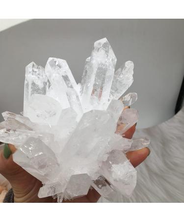 Natural Crystal Rough Natural White Transparent Cluster Stone ore demagnetization Stone Purification Decoration Can be Used for (Size : 650-750g) - Buy Online on GoSupps.com