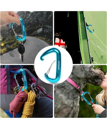 2 Pack Heavy-Duty Blue 12KN Snap Hooks | Large Aluminum Carabiners for Outdoor Camping & Hammocks - Buy Online on GoSupps.com