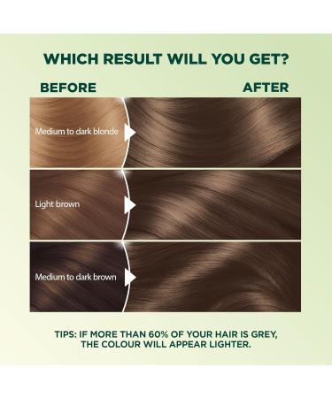 Garnier Nutrisse Ultra Cr me Permanent Hair Dye 100% Grey Coverage Vegan Formula Nourished Hair Long-Lasting Rich Colour 600 Light Neutral Brown 1 Application Packaging May Vary BROWN SHADES 600 Light Neutral Brown - Buy Online on GoSupps.com