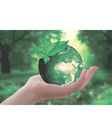 Natural Bathing Sponge - Tom & Pat Silk Sponge with Cord & Glass Trailer | Premium Quality Ideal Baby Sponge & DIY Natural Soap eBook - Buy Online on GoSupps.com