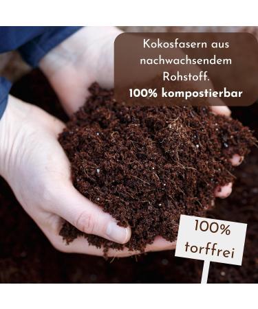 Buy ProFlora Coconut Soil Terrarium Substrate - Biodegradable Peat-Free Coconut Fiber (8 Pieces) for Eco-Friendly Planting - International Shipping Available - Buy Online on GoSupps.com