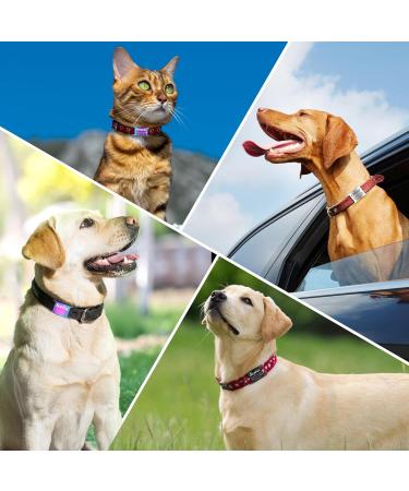 Yhananti Personalized Dog Tag - Engravable Stainless Steel Pet ID for Dogs & Cats - Custom Name Phone & Address (L Silver) for 19mm Collars - Buy Online on GoSupps.com