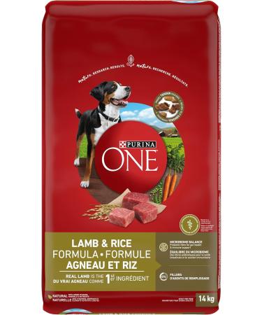 Purina ONE Smartblend Natural Dry Dog Food Bundle - Lamb & Rice (14 kg) + Puppy Food (6 kg) Dry Dog Food + Dry Dog Food 6 kg 14.0 kg (Pack of 1) - Buy Online on GoSupps.com