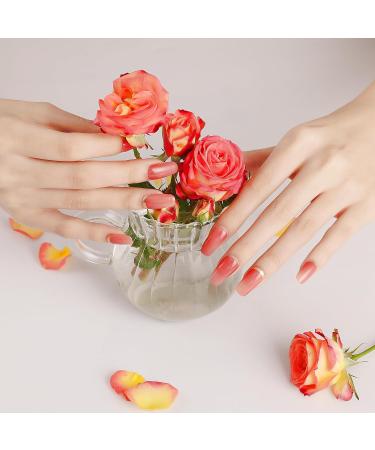 DANNI & TONI Sunset Shimmer Gel Nail Polish Strips - 28 Semi Cured Salon-Quality Stickers Set - Buy Online on GoSupps.com