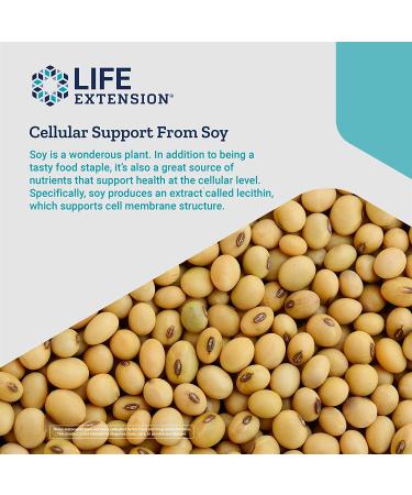 Buy Life Extension Lecithin 16 oz - Support Brain Health & Wellness - Buy Online on GoSupps.com