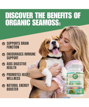 WHOLE WORLD WELLNESS Organic Sea Moss | Immune Support & Brain Health | Bladderwrack, Burdock Root & Bioperine | All Natural, Dairy Free, Gluten Free | 60 Capsules | Made in The USA. - Buy Online on GoSupps.com