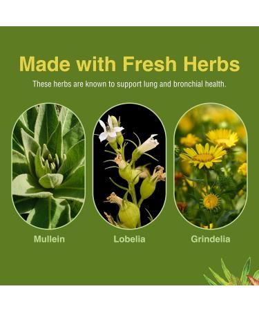 Herbs Etc. Lung Tonic - Lung Supplement for Bronchial Support - Healthy Breathing Support with Mullein Horehound & Grindelia - 120 Softgels - 2 Pack 120 Count (Pack of 2) - Buy Online on GoSupps.com