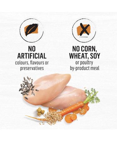 Beyond Simply Natural Dry Dog Food Farm-Raised Chicken & Whole Barley - 1.67 kg Bag 1.67 kg (Pack of 1) - Buy Online on GoSupps.com