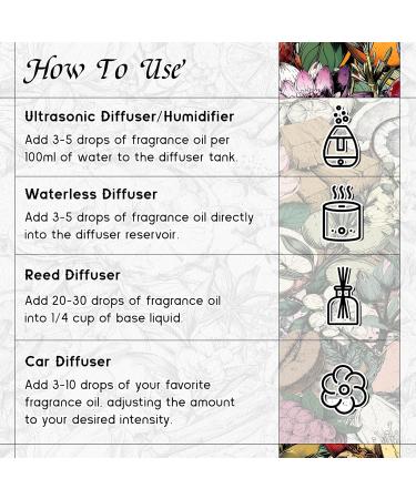 HIQILI Midnight Craving Diffuser Oil Inspired by Y S.L's B.Lack O.pium for Home & Hotel Long-Lasting Fragrance Oil- 0.34 Fl Oz Midnight Craving 0.34 Fl Oz (Pack of 1) - Buy Online on GoSupps.com