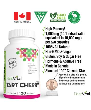 PlantVital Tart Cherry Capsules -1 000mg (two capsules) Per Day -10:1 Cherry Extract - Montmorency Tart Cherry Supplement for Antioxidants - Made in Canada - 2 Months Supply -120 Capsules 120 count (Pack of 1) - Buy Online on GoSupps.com