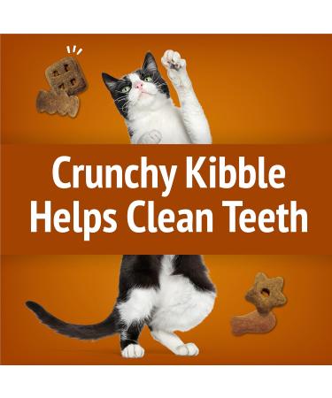 Friskies Party Mix Cat Treats Chicken Lovers Crunch with Real Chicken - 170 g Pouch (1 Pack) Chicken Lovers Crunch 170 g (Pack of 1) - Buy Online on GoSupps.com