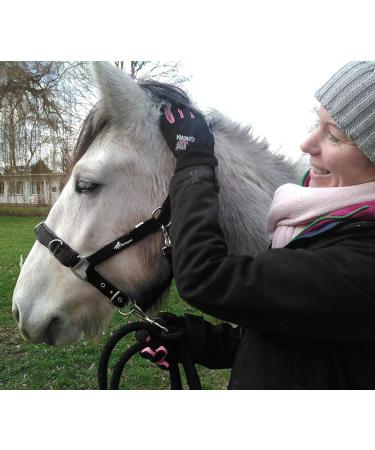 Buy JF-Reitsport Cavesson Pro 2021 | 4-Way Adjustable Soft & Shock-Absorbing for Minishetty | International Shipping Available - Buy Online on GoSupps.com