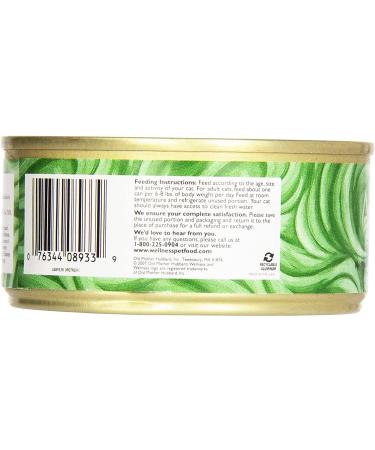 Wellness Natural Grain Free Wet Cat Food - Turkey, 5.5 oz | Complete Health - Buy Online on GoSupps.com