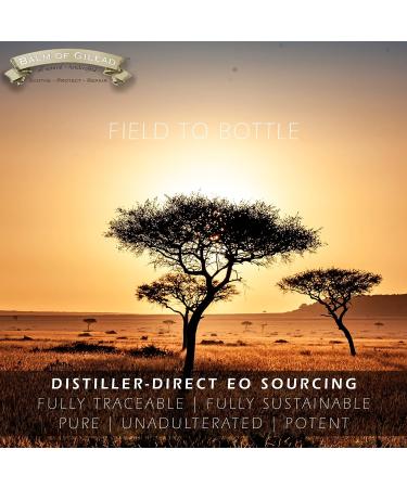 Frankincense & Sweet Myrrh Cream for Diabetic Foot Therapy | Nourishing Balm of Gilead for Skin Healing and Relief - Buy Online on GoSupps.com