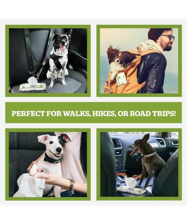 Pogi's Caregiver Travel Package - 120 Biodegradable Dog Wipes | Extra Red & Green Tea Fragrance - Buy Online on GoSupps.com
