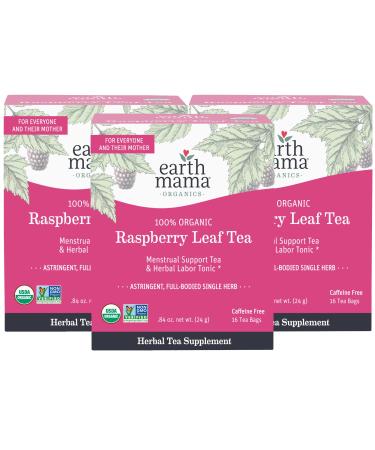 Earth Mama Organic Raspberry Leaf Tea Bags |Labor Tonic + Menstrual Support, 16 Teabags Per Box (3-Pack) Raspberry 16 Count (Pack of 3)