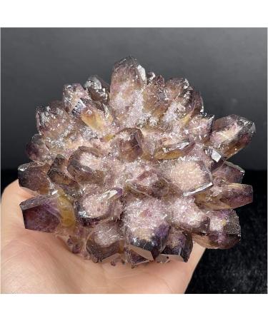 Natural Ghost Phantom Quartz Crystal Cluster Rock Stones Reiki Specimen Home Deco Crystal Cluster (Color : No.4) - Buy Online on GoSupps.com
