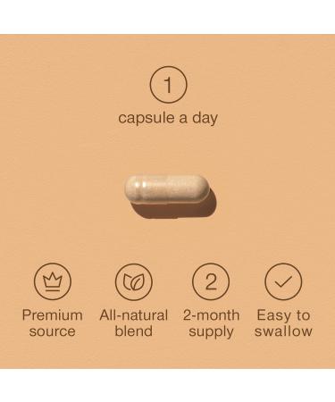 Panax Ginseng Capsules High Strength - 6000mg Korean Red Ginseng & Ginkgo Biloba for Natural Energy & Focus - Vegan & UK Made - 60 Tablets One-a-Day - Premium Ginseng Root Supplements for Men & Women - Buy Online on GoSupps.com