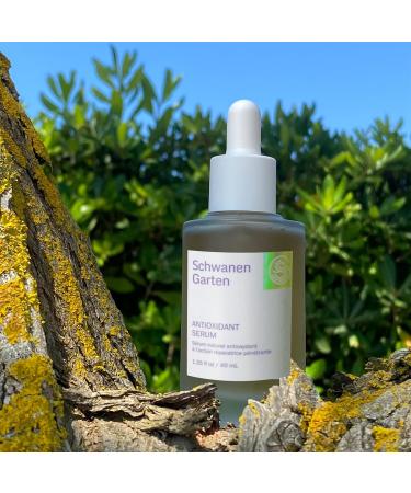 Buy Antioxidant Serum 1.35oz - Organic Vegan Korean Skincare | Essential Treatment with Handpicked Ingredients - Buy Online on GoSupps.com