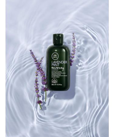Shop Tea Tree Lavender Mint Gift Set - Revitalize with Natural Aromatherapy | Free International Shipping - Buy Online on GoSupps.com