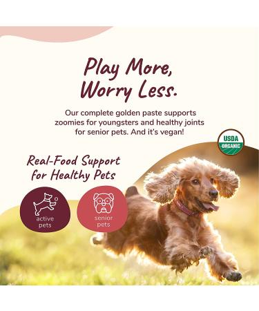 Kin+Kind Hip & Joint Raw Golden Paste 4 oz - Natural Dog Supplement for Joint Health - Buy Online on GoSupps.com